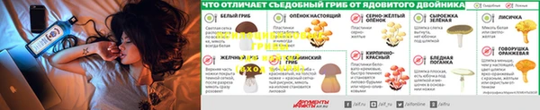 ECSTASY Кинешма