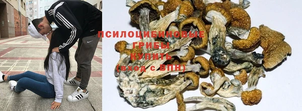 ECSTASY Кинешма