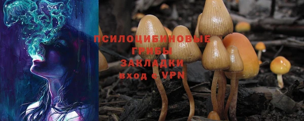 амф Киреевск