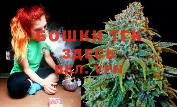 круглые Карпинск