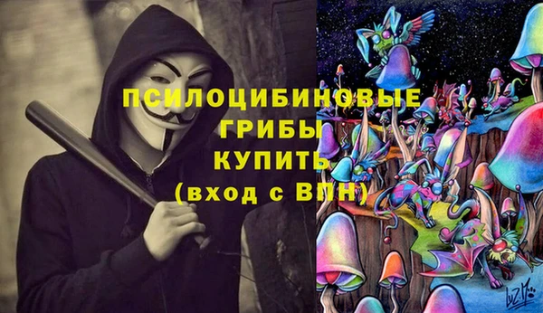 ECSTASY Кинешма