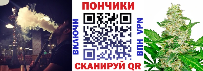 Конопля индика  цены   Щигры 